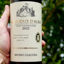 Bruno Giacosa Nebbiolo d’Alba Vigna Valmaggiore 2023