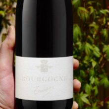 Domaine Trapet Père et Fils Bourgogne Rouge 2022