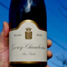 William Kelley Gevrey-Chambertin 'Aux Etelois' 2022
