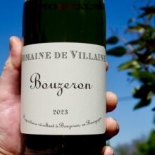 Domaine A et P de Villaine Bouzeron Aligoté 2023