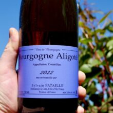 Domaine Sylvaine Patailles Aligoté 2023