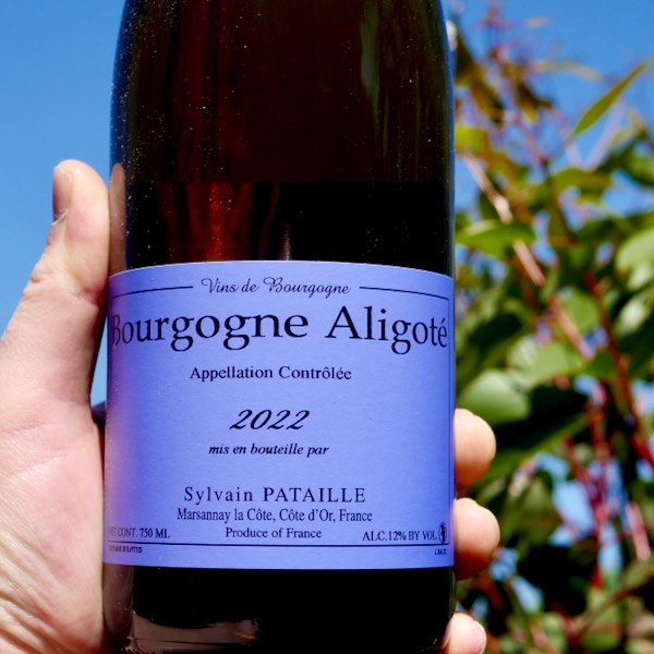 Domaine Sylvaine Patailles Aligoté 2023 WINE DECODED