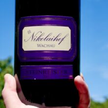 Weingut Nikolaihof Wachau Riesling 'Steinriesler MAGNUM (bottled June 2019) 2007