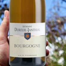 Domaine Vincent Dureuil-Janthial Bourgogne Blanc 2022
