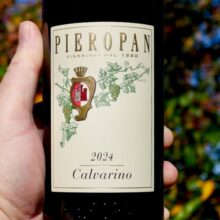 Pieropan Soave 'Calvarino' 2024