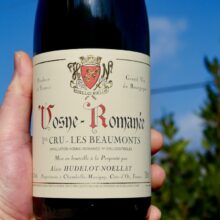 Domaine Hudelot-Noëllat Vosne-Romanée 1er Cru 'Les Beaumonts' 2022