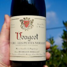 Domaine Hudelot-Noëllat Vougeot 1er Cru 'Les Petits Vougeot' 2022